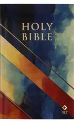 NLT ECONOMY BLUE & ORANGE ABSTRACT