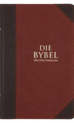 AFRIKAANS 1933/1953 BYBEL BRUIN KUNSLEER
