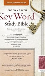ESV KEY WORD STUDY BIBLE BL BURGUNDY