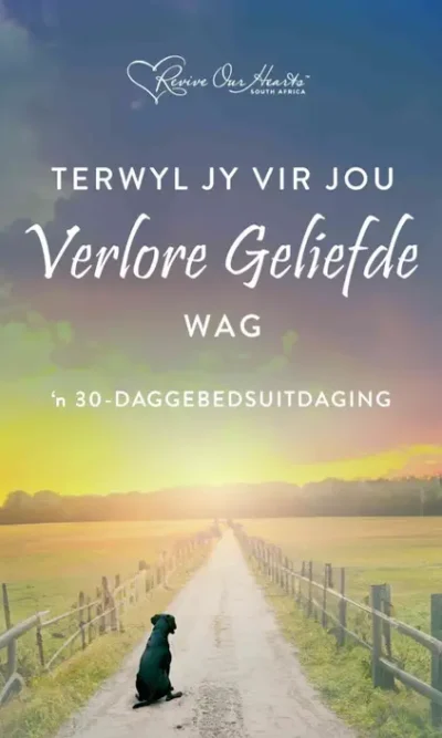VERLORE GELIEFDE