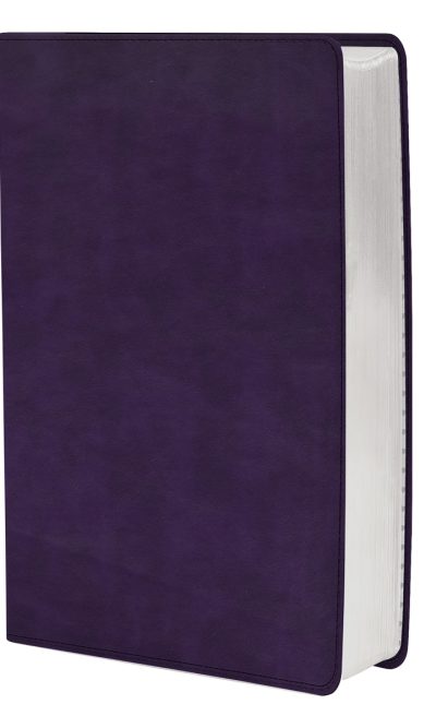 CSB LP PERSONAL SIZE REF IM PURPLE