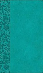 CSB LP REF PERSONAL SIZE TEAL IM