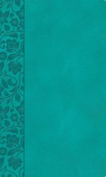 CSB LP PERSONAL SIZE REF TI IM TEAL