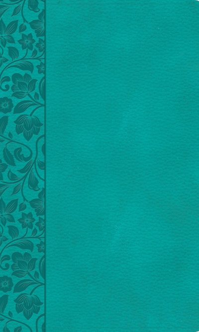 CSB LP PERSONAL SIZE REF TI IM TEAL