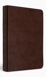 ESV COMPACT LARGE PRINT TT CHESTNUT