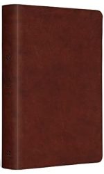 ESV STUDENT STUDY BIBLE TRUTONE CHESTNUT