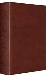 ESV STUDY BIBLE CHESTNUT TRUTONE