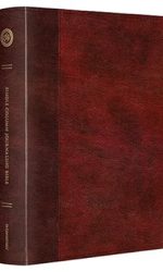 ESV SC JOURNALING LP RED/BURGUNDY TT