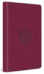 ESV PREMIUM GIFT TT RASPBERRY