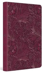 ESV VALUE THINLINE RASPEBERRY FLORAL TT