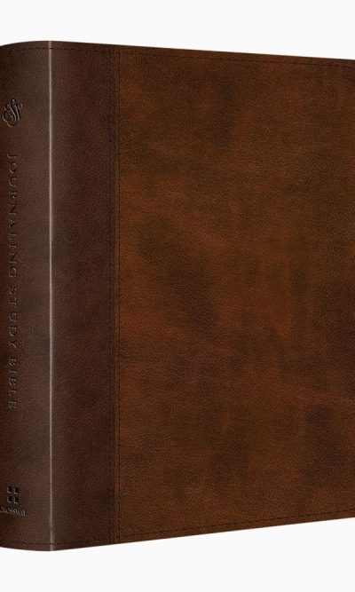 ESV JOURNALING STUDY TT BROWN/CHESTNUT