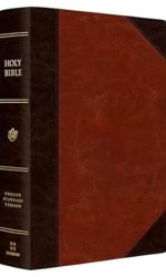 ESV SUPER GIANT TT BROWN CORDOVAN