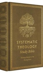 ESV SYSTEMATIC THEOLOGY STUDY HC OCHRE
