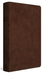 ESV DYSLEXIA-FRIENDLY EDITION TT