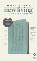 NLT FILAMENT PREM LP VALUE THIN TEAL IM