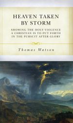 HEAVEN TAKEN BY STORM