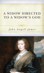WIDOW DIRECTED TO A WIDOW'S GOD, A