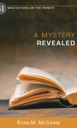 MYSTERY REVEALED: 31 MEDITATIONS ON THE