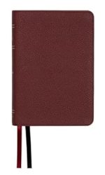 LSB COMPACT BURGUNDY COWHIDE