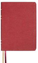 LSB GIANT PRINT REF PASTE-DOWN BURGUNDY