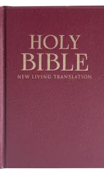 NLT STANDARD SIZE BIBLE BURGUNDY H/C