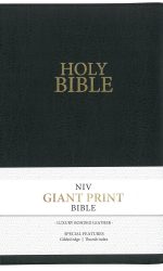 NIV GIANT PRINT BLACK BL