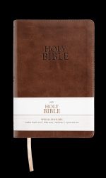 NIV LEATHER TOUCH BROWN BIBLE