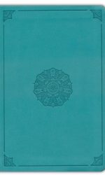 ESV VALUE COMPACT TT TURQUOISE