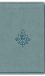 ESV VALUE COMPACT TT PARIS SKY