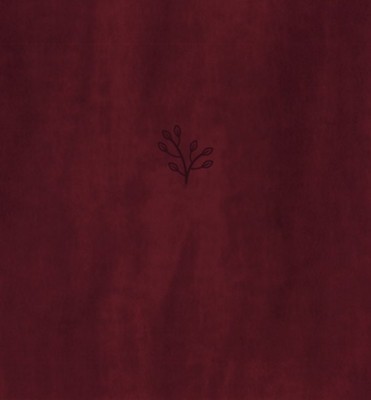 AMPLIFIED BIBLE XL BURGUNDY IM